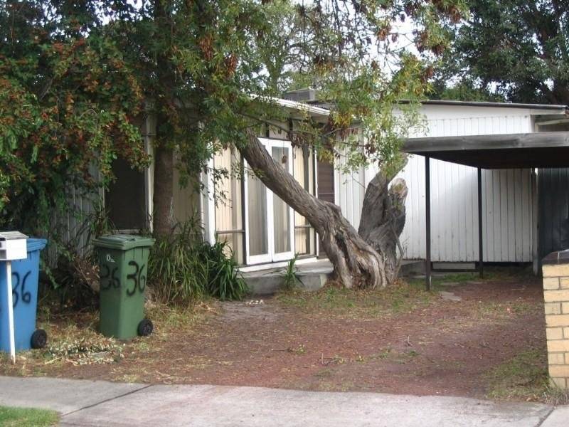 36 Olympic Avenue, Springvale South VIC 3172