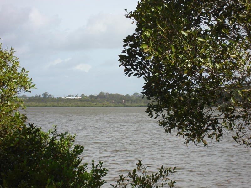 53 Doonella Street, Tewantin QLD 4565