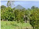 27 Dianella Court, Cooroy QLD 4563