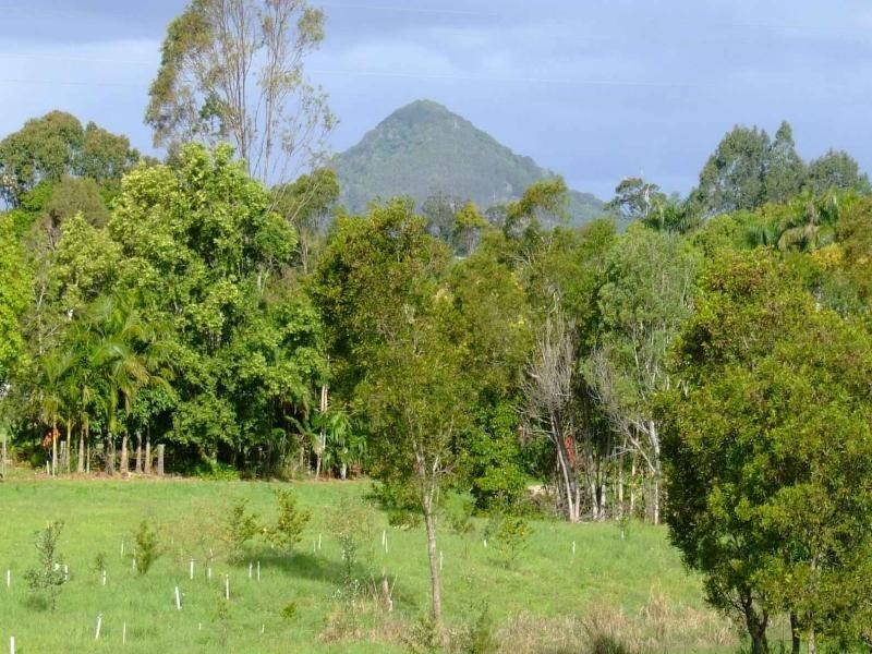 27 Dianella Court, Cooroy QLD 4563