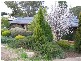 295 Hancock Road, Banksia Park SA 5091