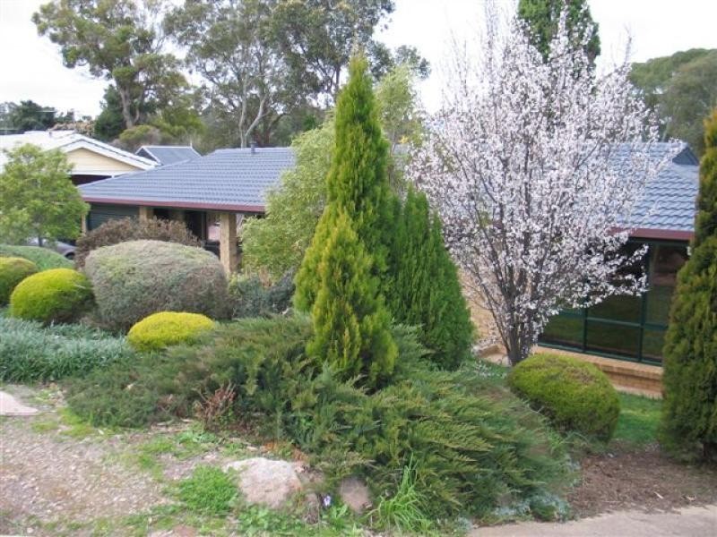 295 Hancock Road, Banksia Park SA 5091