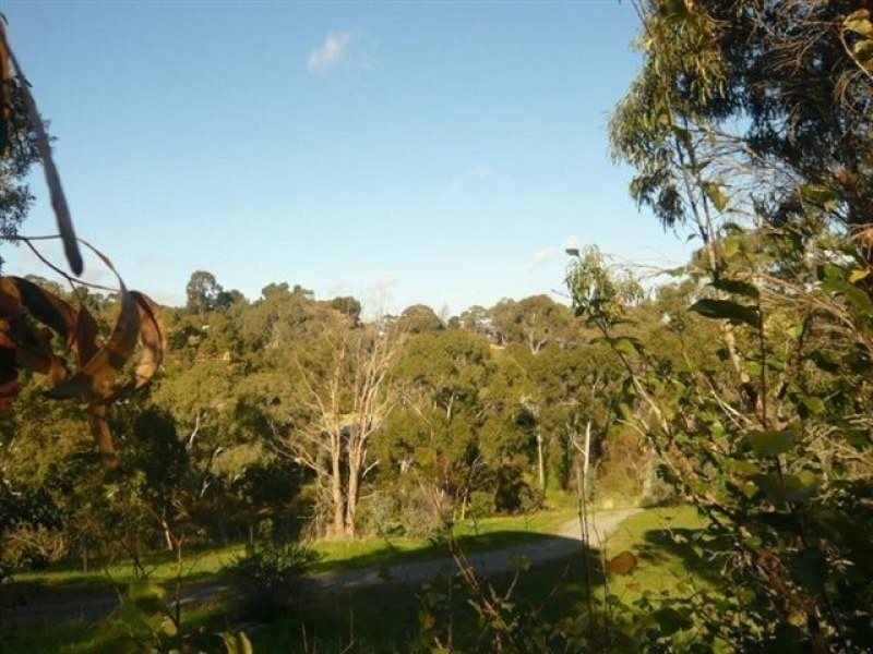 3 Pitanda Road, Banksia Park SA 5091