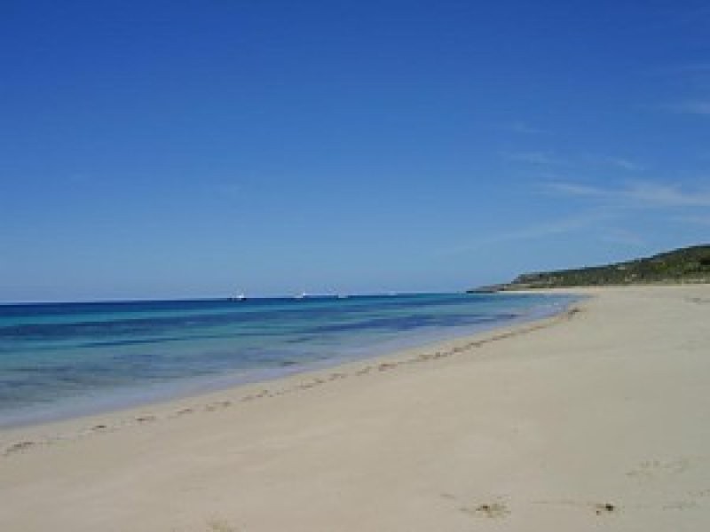 Lot 42 Wedge Island, Port Lincoln SA 5606