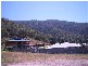 4 Calamus Court, Palm Cove QLD 4879