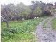 105 Kinnear Road, Mickleham VIC 3064