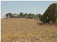 2105 Plenty Road, Yan Yean VIC 3755