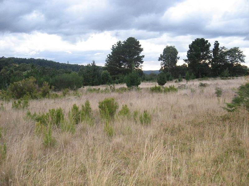 82 Wallaby Way, Kinglake West VIC 3757