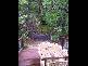 36 Samarinda Way, Point Lookout QLD 4183
