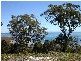 194 Dickson Way, Dunwich QLD 4183