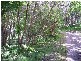 46 Samarinda Way, Point Lookout QLD 4183