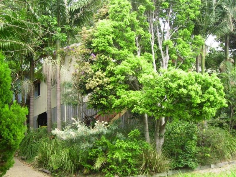 6 Bigoon Road, Point Lookout QLD 4183