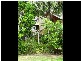 6 Bigoon Road, Point Lookout QLD 4183