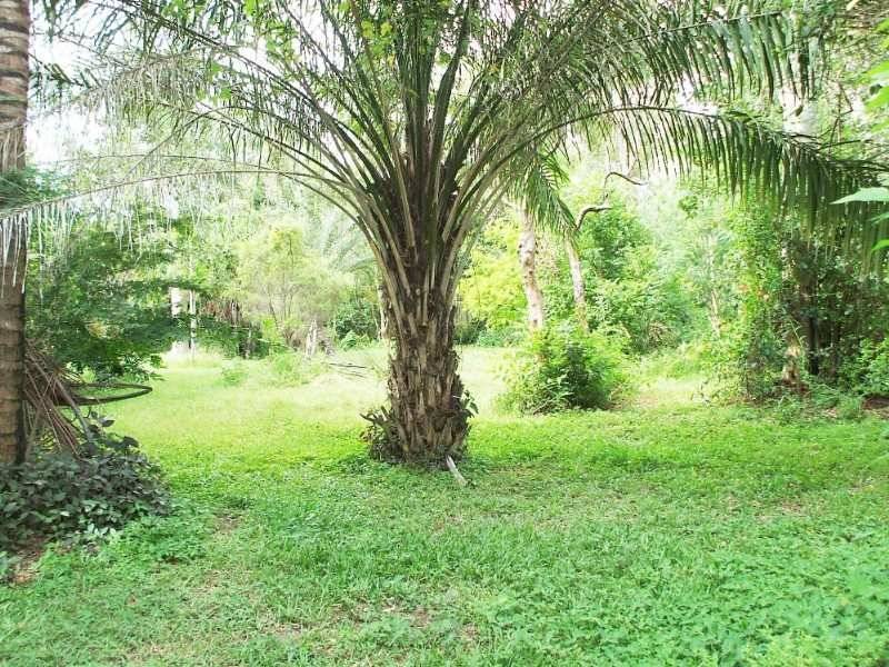 50 Forestry Road, Bluewater QLD 4818