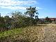 5 Webster Terrace, Edens Landing QLD 4207