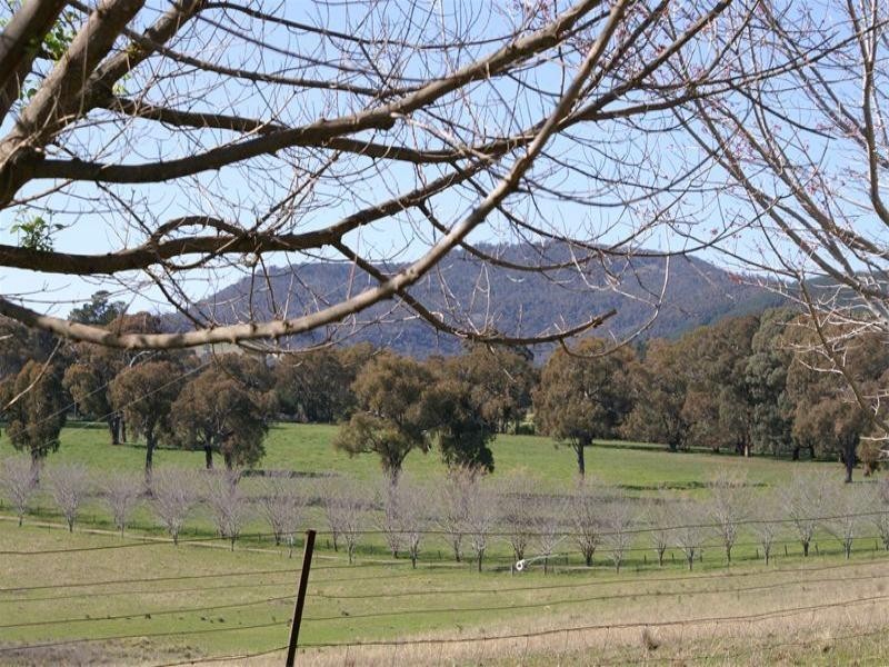 “Lynwood” Boree Lane, Orange NSW 2800