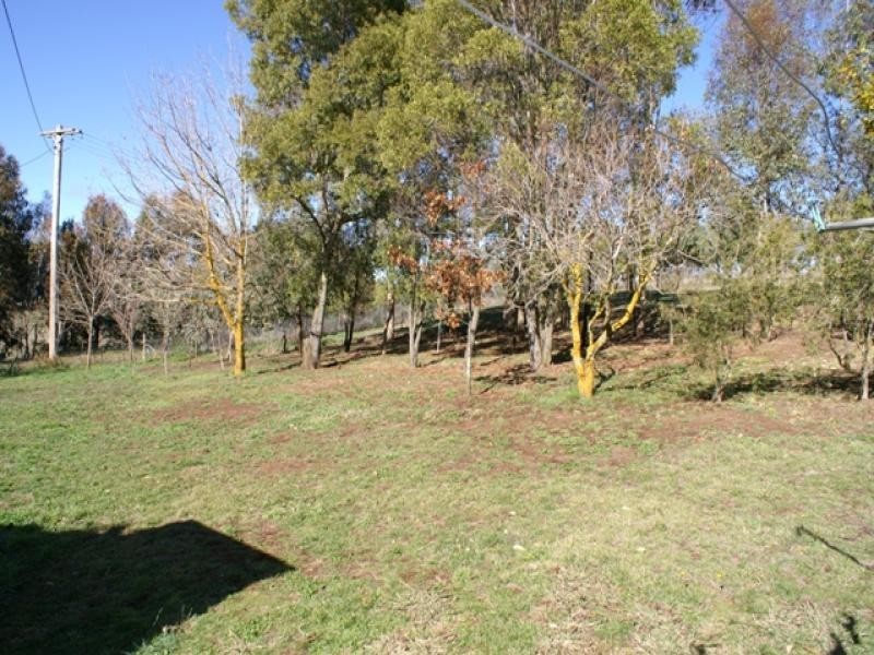 879 Forest Reefs Road, Forest Reefs NSW 2798