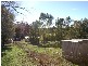 879 Forest Reefs Road, Forest Reefs NSW 2798