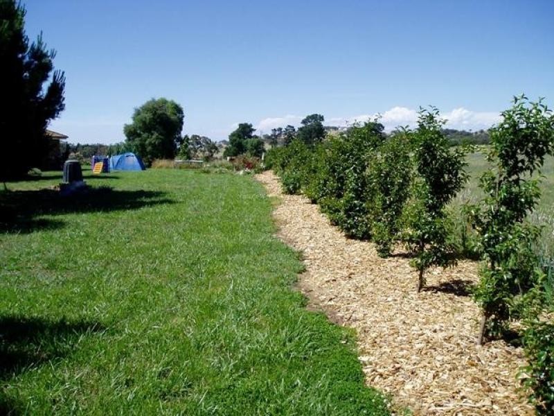 “Niela Millthorpe, Millthorpe NSW 2798