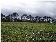 14 Illamatta Way, Orange NSW 2800