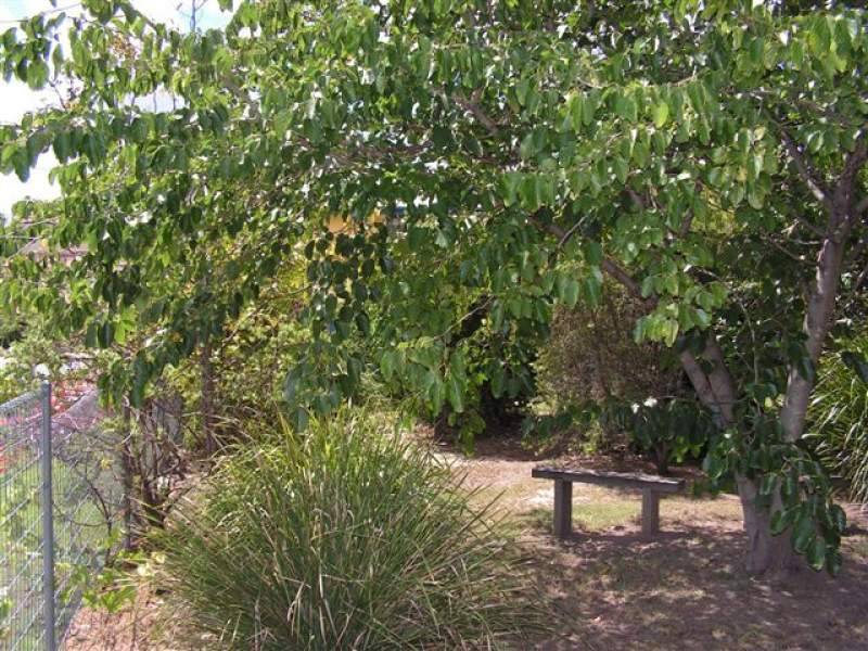 52 Rosemount Terrace, Windsor QLD 4030