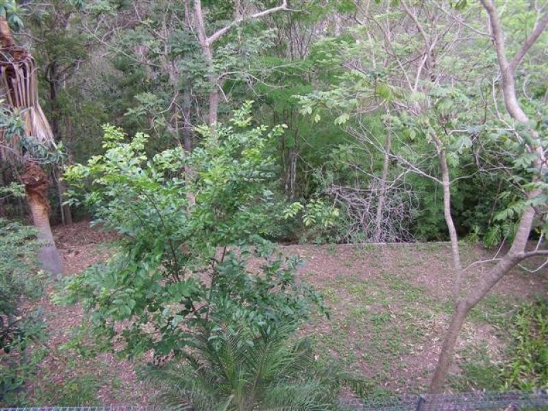 88 Stuartholme Road, Bardon QLD 4065