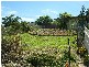 29 Hill Street, Parkes NSW 2870