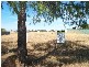 39 Medlyn Street, Parkes NSW 2870