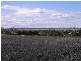 Lot 274 Aitken Lane, Parkes NSW 2870