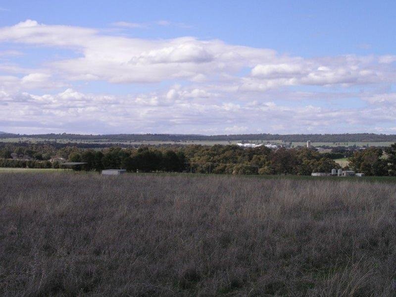 Lot 274 Aitken Lane, Parkes NSW 2870