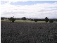 Lot 274 Aitken Lane, Parkes NSW 2870
