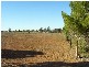 Lot 2 Peak Hill Road, Parkes NSW 2870