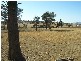 Lot 5 Maguire, Parkes NSW 2870