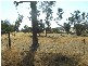 Lot 5 Maguire, Parkes NSW 2870