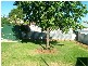 22 Weston Street, Parkes NSW 2870