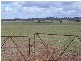 258 Cons Lane, Parkes NSW 2870