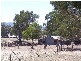 2 Sharlee, Parkes NSW 2870
