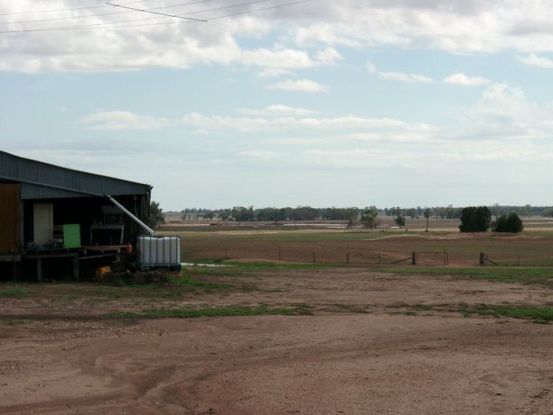 0 Trelawney Road, Trundle NSW 2875