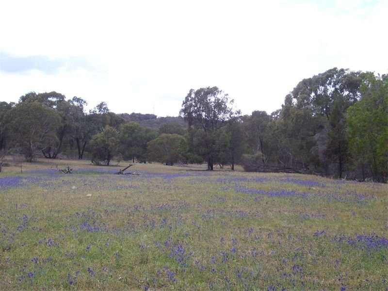 0 Cookamidgera Road, Cookamidgera NSW 2870
