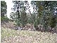 0 Cookamidgera Road, Cookamidgera NSW 2870