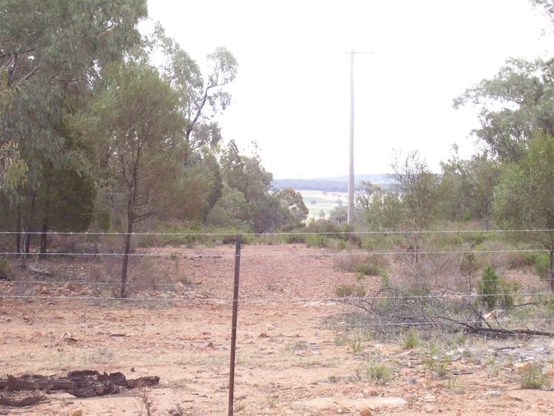 0 Cookamidgera Road, Cookamidgera NSW 2870