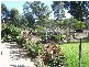 0 Cooka Hills Road, Cookamidgera NSW 2870