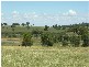 Lot 3 Cookamidgera Road, Parkes NSW 2870