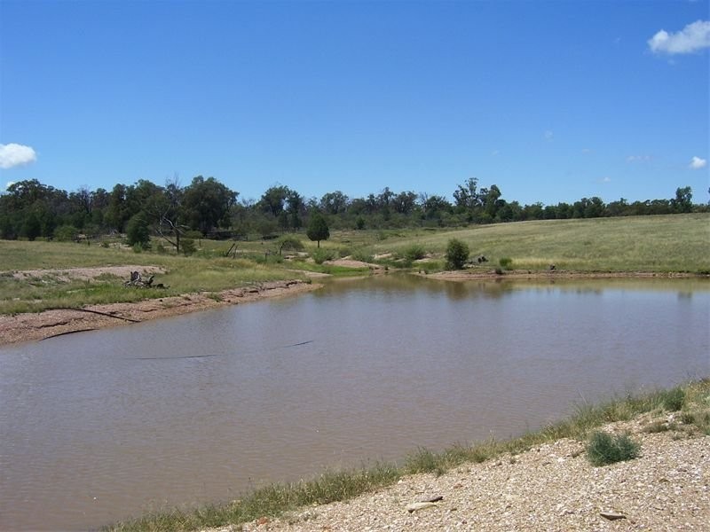 Lot 3 Cookamidgera Road, Parkes NSW 2870