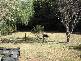 Picton NSW 2571