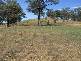 Picton NSW 2571