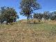 Picton NSW 2571