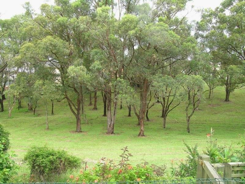 24 Grandview Parade, Port Macquarie NSW 2444