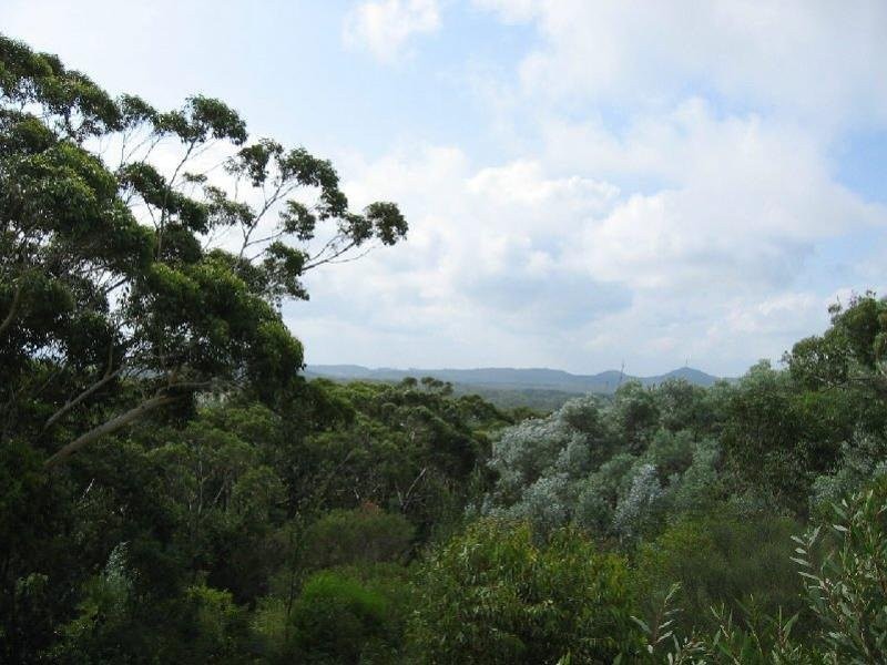 82 Blanch Street, Boat Harbour NSW 2316