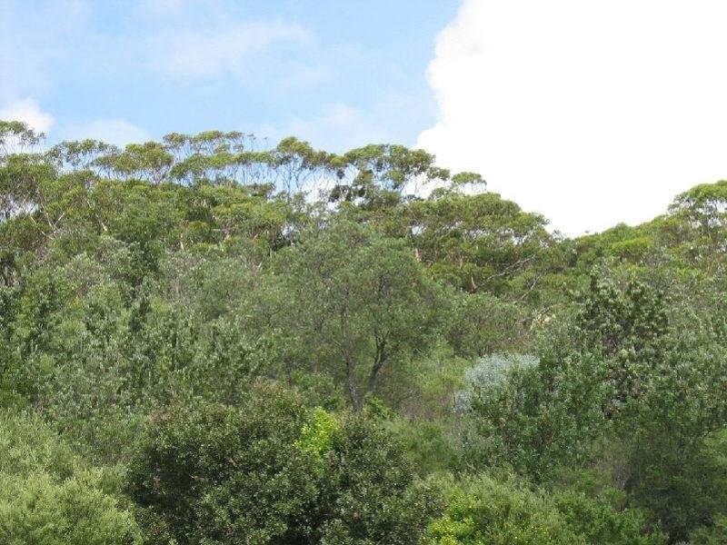 82 Blanch Street, Boat Harbour NSW 2316